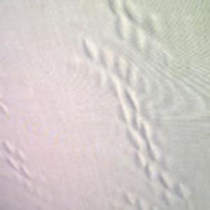 Ondulazioni al centro del telo o nido d'ape